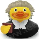 judge_duck