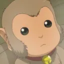 pongo_pygmaeu5