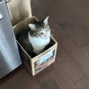 riceballinnn