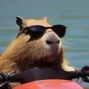 the_chill_capybara