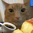 Rémy Bûche | MuffinAuChoco