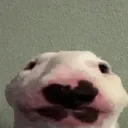 natop_
