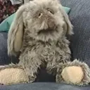 mr.mastermonkey