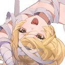 hibifier