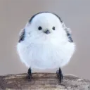 n_a_