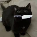 cleaver001