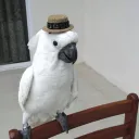hmmmchrist
