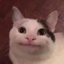 dyck