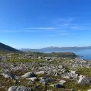 siltvedtks