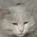 avatar ⚘ wéise1907