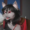 wolfette00