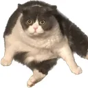 karma7673 avatar