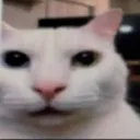 brandonturcios