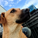 iconiqfps#1482's avatar