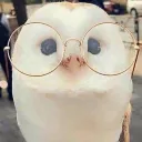 sushighost