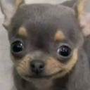 avatar Your Demon Friend Temmie