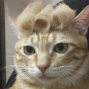 avatar Your Demon Friend Temmie