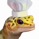 doovde_lekroox