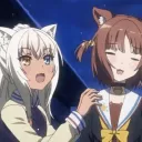 fsg_cat