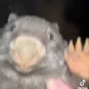 slavshock