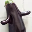 laubergine's Avatar