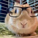 avatar hazel 🐇 <-