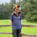 blitzshep