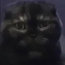 tsukinoemanon