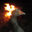 imperialbebek