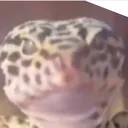 scavsatemylegs