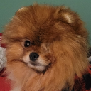 jjthehomelesspyro#0798's avatar