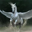 nythepegasus