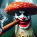 Ilay Shlomo's avatar