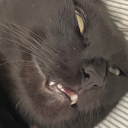 hotbodrod#4058's avatar