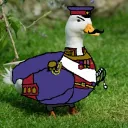tsarquackov2