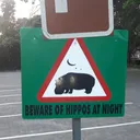 hippofrenzy