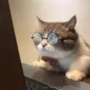 sparv