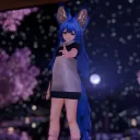 cybersleuth