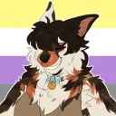 surfmutt