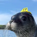 muskratjerome