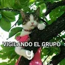elvis_1904