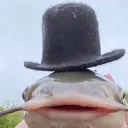 kamryx