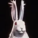 monomaru