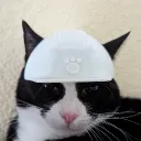 volverbot
