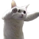 snozn
