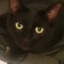 moldylunchbox5734