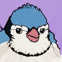 theaveragebluejay
