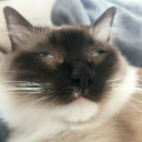 navichiz4#8795's avatar