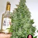 sgt.its_them