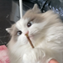 fuaqqq